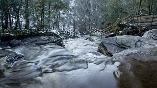 Glenbarrow Eco Walk